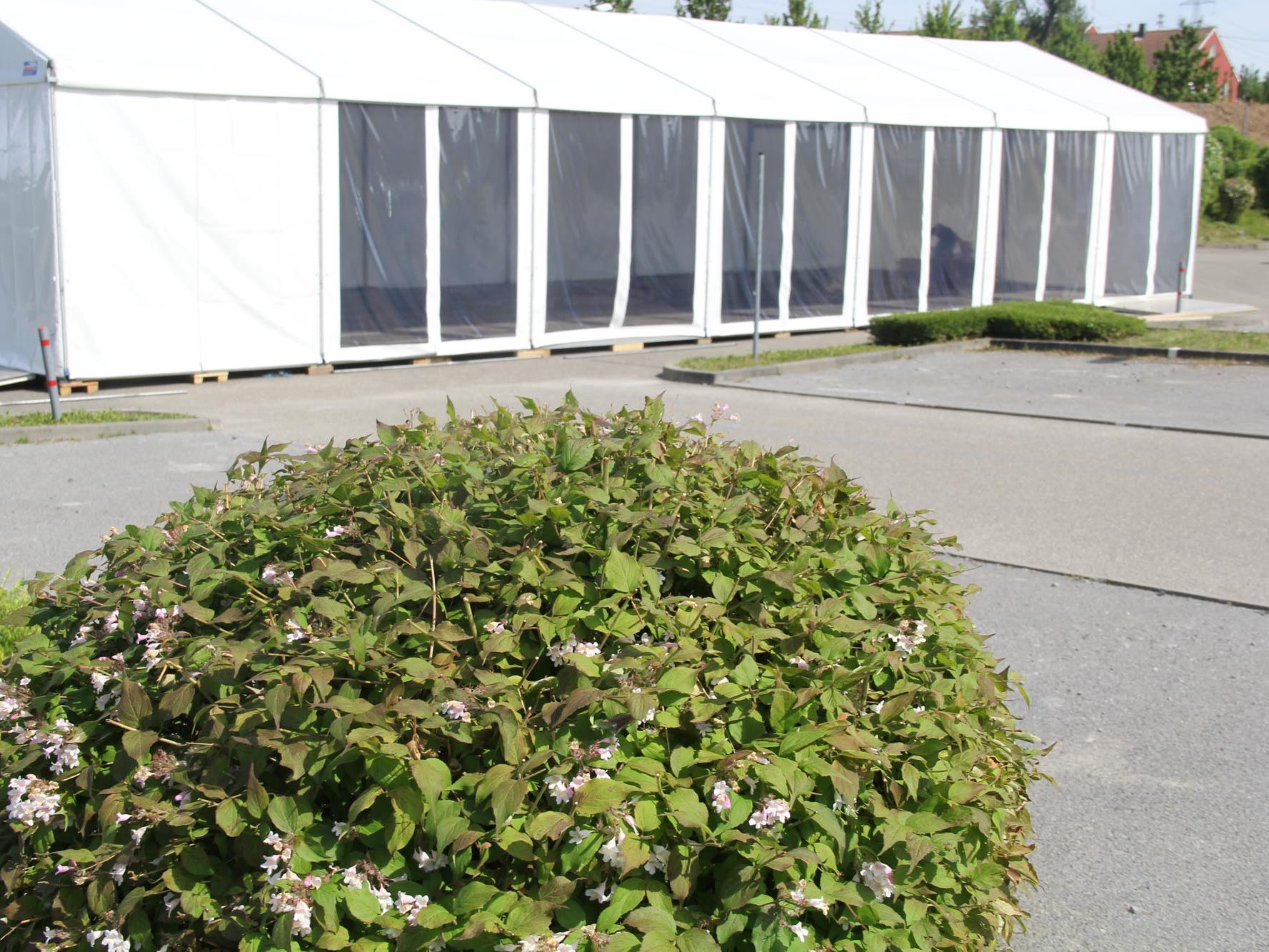 Planenvarianten Bild unten 4